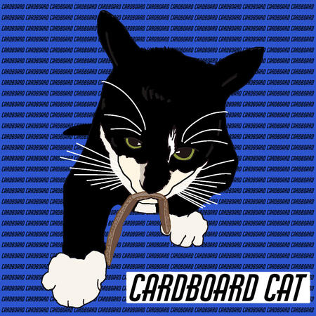 Cardboard Cat
